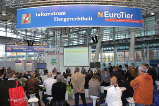 會(huì)展服務(wù)中的網(wǎng)絡(luò)布線安裝 關(guān)鍵步驟與最佳實(shí)踐